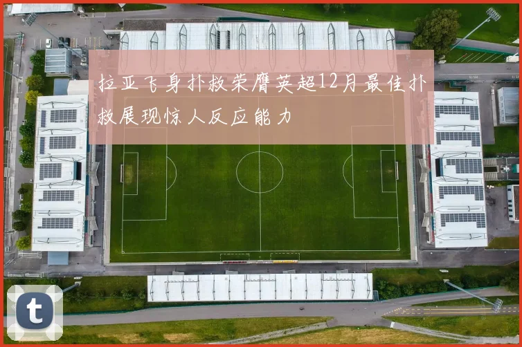 拉亚飞身扑救荣膺英超12月最佳扑救展现惊人反应能力